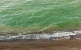 🌊かつて海は青ではなく「緑色」だった！？ 名古屋大学が提唱した“緑の海仮説”とは