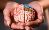 【最新研究】睡眠中に「脳の老廃物除去」が行われる仮説に新展開、ただし一部からは批判も