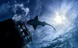 🌊【衝撃】人類が視覚的に探査した深海底は“たった0.001％”だった