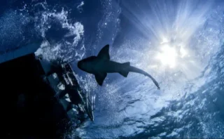 🌊【衝撃】人類が視覚的に探査した深海底は“たった0.001％”だった