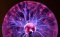 ⚡️雷でライバルを一掃!? 「雷耐性」を持つ樹木が発見される