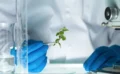 🌿 寄生植物を「自殺」に導く新たな戦略とは？農家を救う画期的研究が進行中！