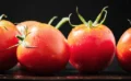 🍅 ガラパゴスの野生トマトが“先祖返り”で毒性アップ？