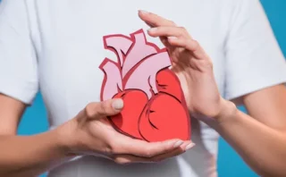 🫀 心臓がんはなぜ珍しいのか?心臓専門家が徹底解説 🫀 心臓がんはなぜ珍しいのか?心臓専門家が徹底解説