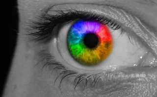 人の「色の見え方」は脳のレベルで共通している可能性🧠🌈