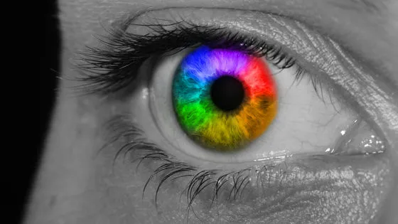 人の「色の見え方」は脳のレベルで共通している可能性🧠🌈