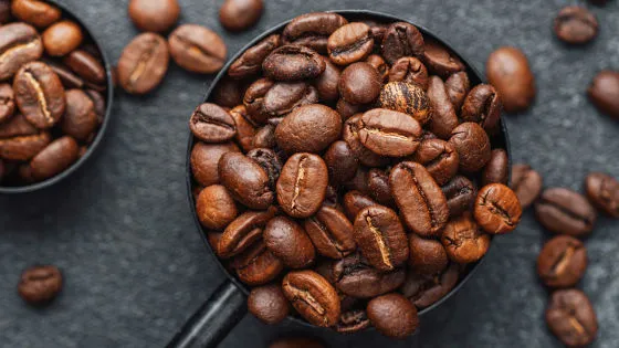 ☕ ジャコウネコのうんちから取れる「コピ・ルアク」、化学的に他のコーヒー豆と異なることが判明