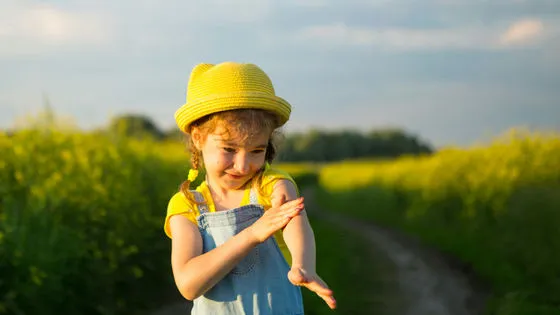 🦟 アイスランドでついに「蚊」が発見される──地球上で蚊がいないのは南極だけに