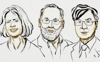 🧬2025年ノーベル生理学・医学賞を日本人研究者・坂口志文氏が受賞！