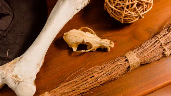 🚨 古代エジプトの警備員は牛骨の「笛」を使っていた？3300年前の遺物が解き明かす王宮警備の実態