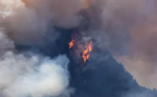 🌎気候変動でアメリカの山火事被害が深刻化　2050年には「煙による死者」が年間7万人に達する可能性