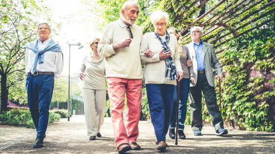 アルツハイマー病の進行を遅らせる具体的な運動量が判明！「1日5000歩〜7500歩」の中程度の身体活動が、タウタンパク質の蓄積と認知機能低下の速度を顕著に抑制するという最新の研究結果を解説します。