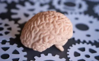 🧠アルツハイマー病は「脳のゴミ掃除リズム」を乱していた──最新研究が示す驚きのメカニズム