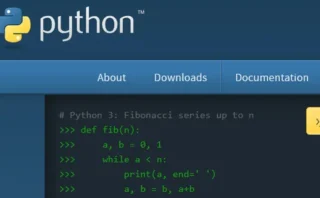 🐍Pythonソフトウェア財団、2億円超の政府助成金を辞退