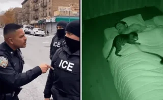 🎥 動画は本物？AI生成？