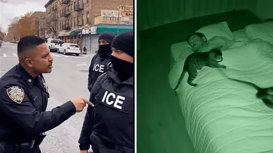 🎥 動画は本物？AI生成？