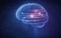 🧠📚 なぜ「間隔を空けて復習する」と記憶に残るのか?科学が証明した“最強の学習法”を徹底解説 🧠📚 なぜ「間隔を空けて復習する」と記憶に残るのか?科学が証明した“最強の学習法”を徹底解説