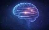 🧠📚 なぜ「間隔を空けて復習する」と記憶に残るのか？科学が証明した“最強の学習法”を徹底解説
