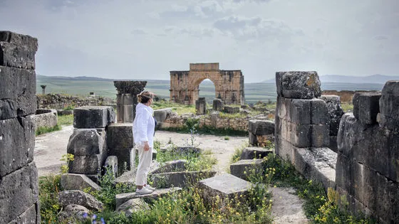 🏛️ 国家が数千年前に初めて出現した「本当の理由」