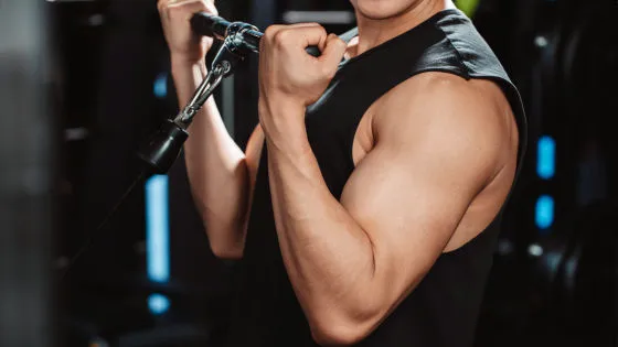 🏋️‍♂️🌿 ジムに行けない長期休みでも筋肉と健康を維持する方法