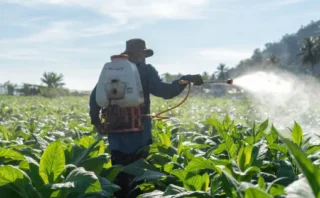 🧠 特定の農薬がパーキンソン病リスクを2.5倍以上に？クロルピリホス研究が示す衝撃の可能性