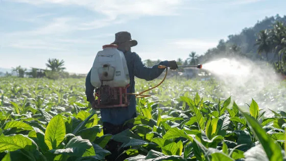 クロルピリホスなどの農薬曝露がパーキンソン病リスクを2.5倍以上に高める可能性を示す最新研究を解説。発症メカニズム、動物実験結果、各国の規制動向、パラコート問題まで専門的に分析します。