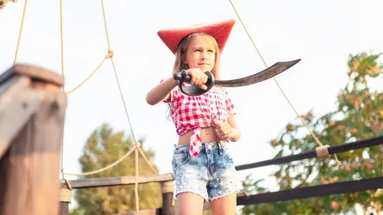 7万人を率いた史上最強の海賊は女性だった──清朝を屈服させた女海賊「鄭一嫂」とは？