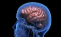 🧠 中国企業が“手のマヒ回復”を目指すBCI医療機器を承認取得