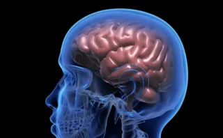 🧠 中国企業が“手のマヒ回復”を目指すBCI医療機器を承認取得