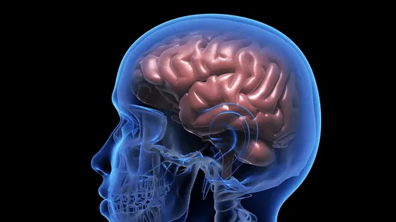 🧠 中国企業が“手のマヒ回復”を目指すBCI医療機器を承認取得