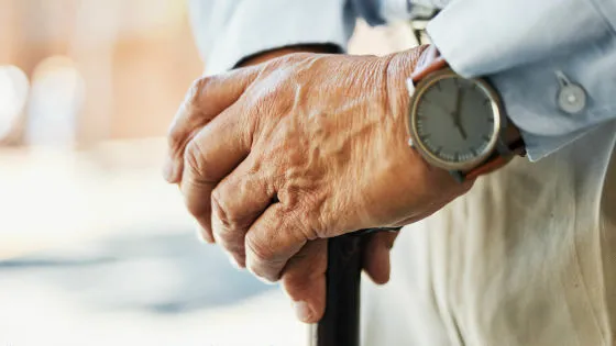 🧠 マイクロプラスチックが脳を蝕む？パーキンソン病との衝撃的な関連性が判明