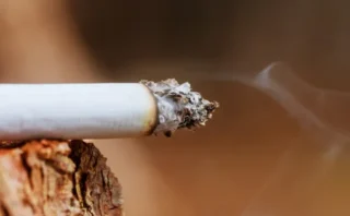 🚬植物はなぜニコチンを作るのか？200年来の謎がついに解明――医薬品開発にもつながる大発見