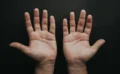 ✋ なぜ人間の約90％は右利きなのか？カギは「二足歩行」と「脳の拡大」にあった