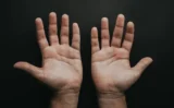 ✋ なぜ人間の約90％は右利きなのか？カギは「二足歩行」と「脳の拡大」にあった