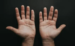 ✋ なぜ人間の約90％は右利きなのか？カギは「二足歩行」と「脳の拡大」にあった