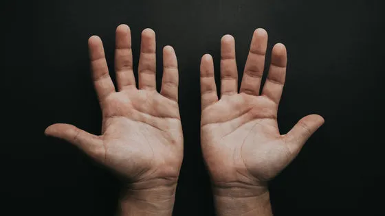 ✋ なぜ人間の約90％は右利きなのか？カギは「二足歩行」と「脳の拡大」にあった