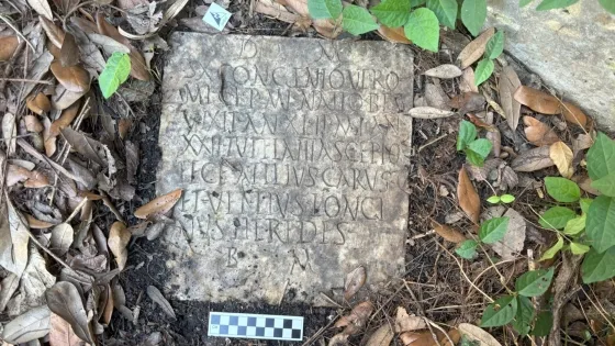 🏛️ アメリカの庭から発見された古代ローマの墓碑、その正体は1900年前の海軍兵士だった