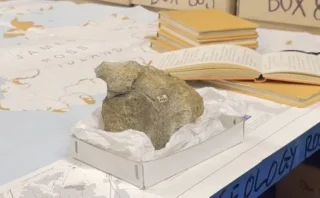🦕 40年間引き出しに眠っていた化石が「南極初の恐竜化石」だったことが判明！ティタノサウルス類の新たな証拠に