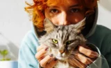 🐱 ネコとの触れ合いは本当にストレスを減らす？ 最新研究が示した「ペットと心の健康」の意外な関係