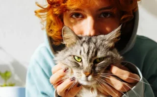 🐱 ネコとの触れ合いは本当にストレスを減らす？ 最新研究が示した「ペットと心の健康」の意外な関係