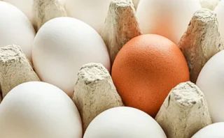 🥚「30億ドル稼いで制裁金は330万ドル」アメリカの卵価格操作問題が波紋　司法省が大手3社を提訴、独占市場の課題も浮き彫りに