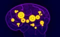 🧠 記憶は脳にどう保存されるのか？ ニューロン・海馬・睡眠が作る「思い出」の仕組み
