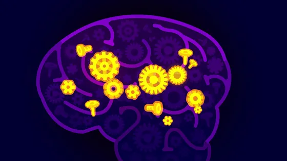 🧠 記憶は脳にどう保存されるのか？ ニューロン・海馬・睡眠が作る「思い出」の仕組み