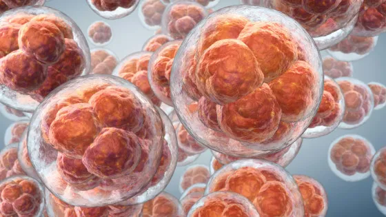 🧬 ゼロから作った人工細胞が成長・DNA複製・分裂に成功、「生命を組み立てる」研究が大きく前進
